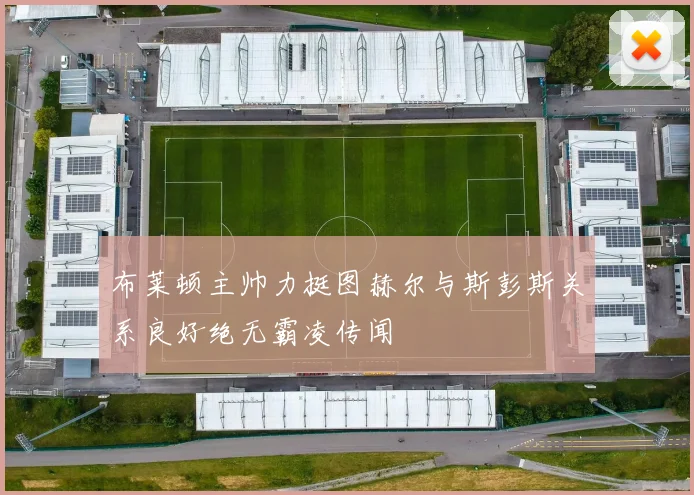 布莱顿主帅力挺图赫尔与斯彭斯关系良好绝无霸凌传闻