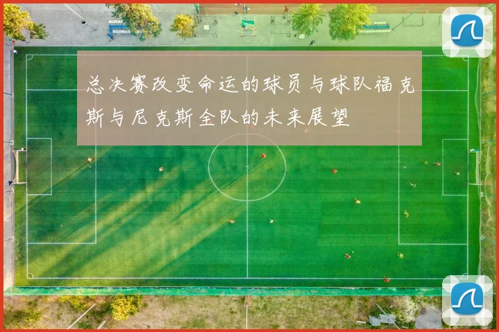 总决赛改变命运的球员与球队福克斯与尼克斯全队的未来展望