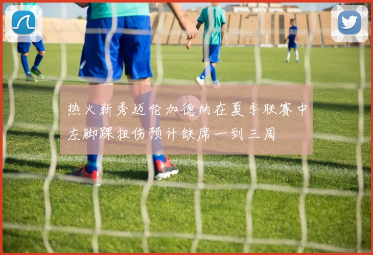 热火新秀迈伦加德纳在夏季联赛中左脚踝扭伤预计缺席一到三周